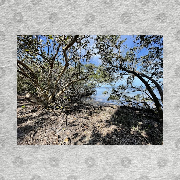 Small Hidden Beach at Robinson Preserve by Sparkleweather